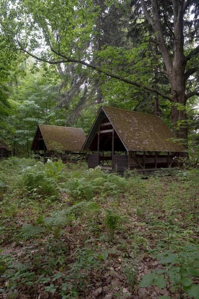 10. Napušteni izviđački kamp