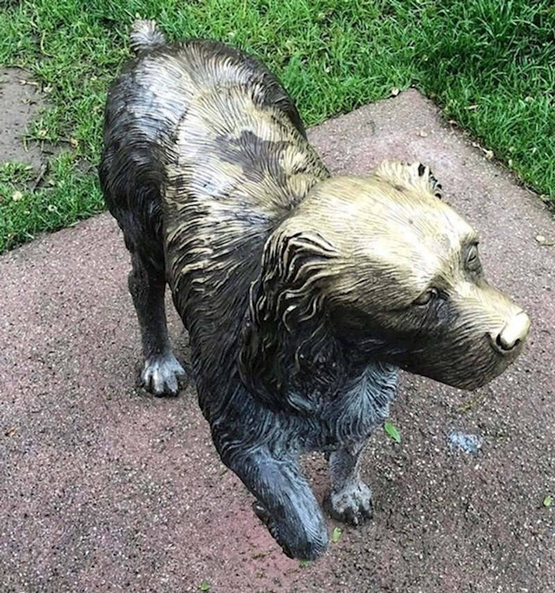 15. Kip psa kojeg ljudi godinama diraju.