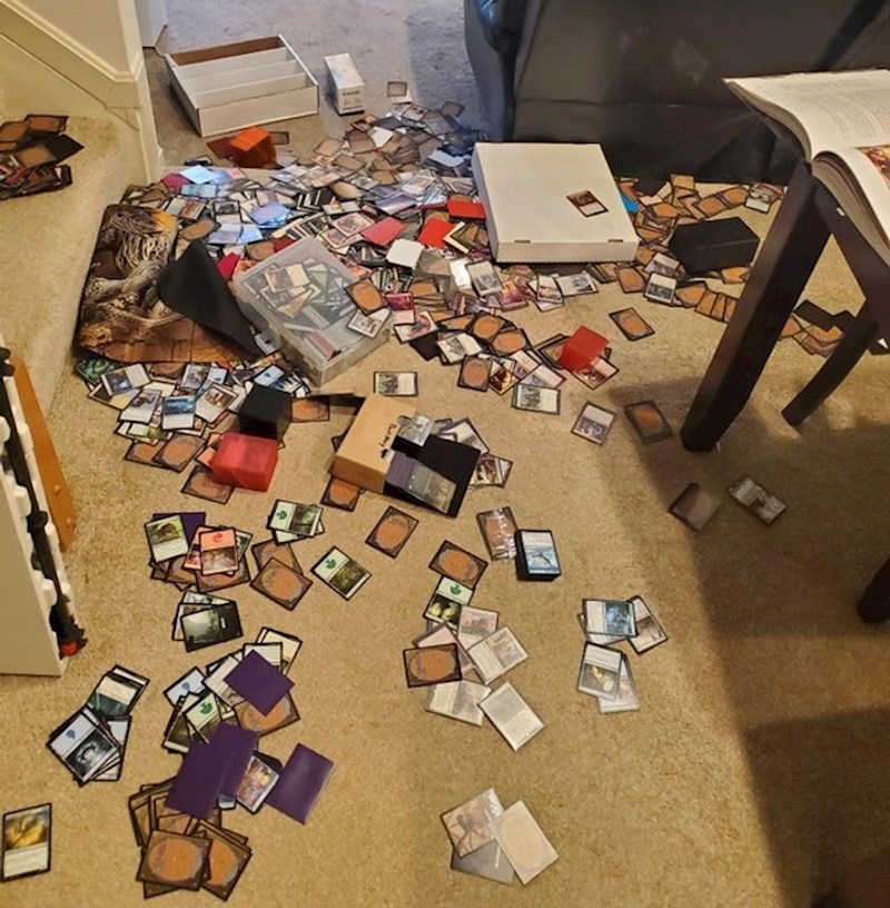 13. Sortirala sam neke karte i onda se spotaknula