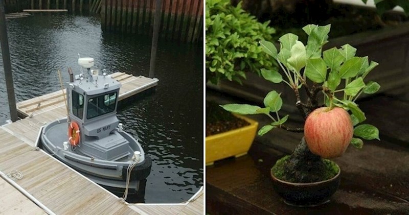 20 zanimljivih fotki koje će vas podsjetiti da je ovaj svijet lijepo mjesto