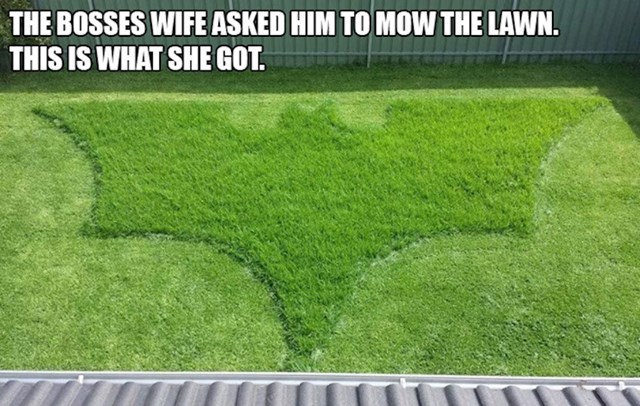 3. "Supruga moga šefa zamolila ga je da pokosi travnjak. Ovo je dobila."