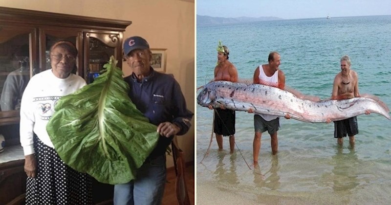 20 živopisnih fotografija usporedbi koje će vas sigurno iznenaditi