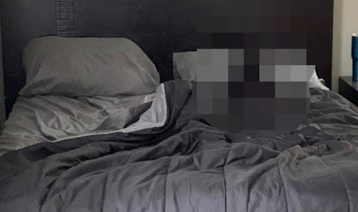 Iznenadit ćete se kad vidite tko u krevetu čeka autora ove fotke