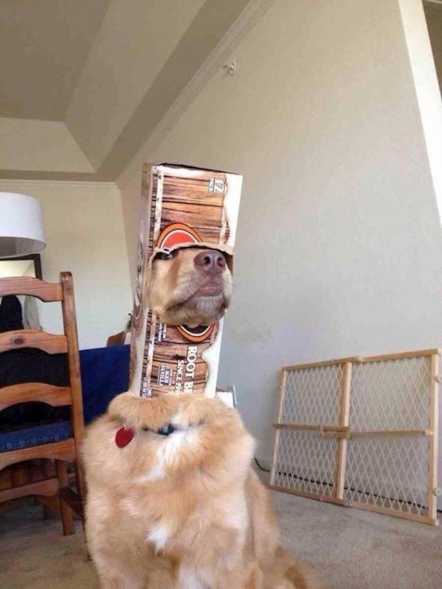 4.