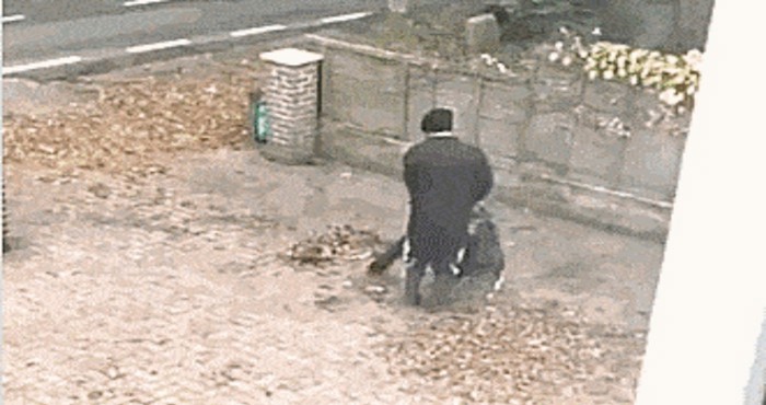 Netko je s prozora snimio urnebesnu scenu s likom koji misli da čisti lišće