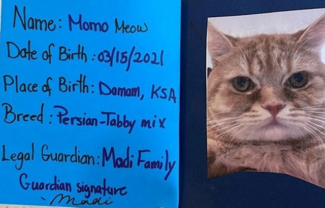9. "Moja 5-godišnja sestra napravila je putovnicu za našeg mačka."
