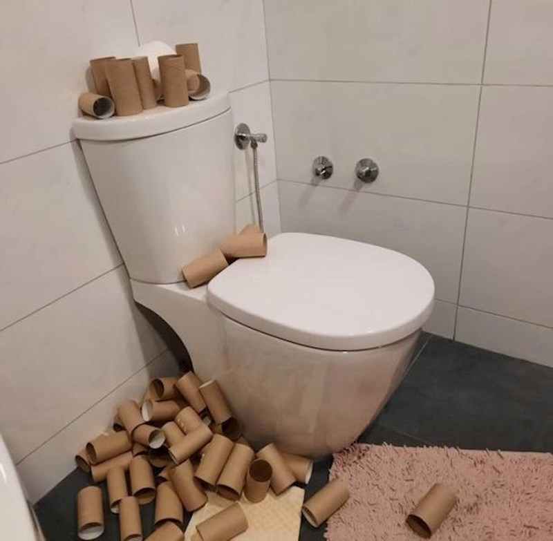 13. "Moj cimer je monstrum!"