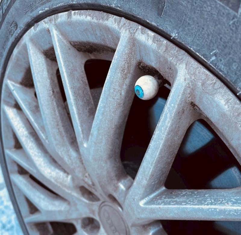 16. "Ovo je auto moga susjeda koji je oftalmolog."