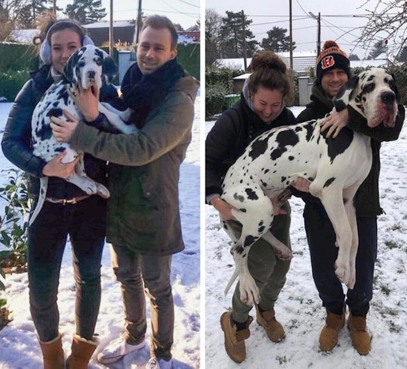 10. Godinu dana razlike