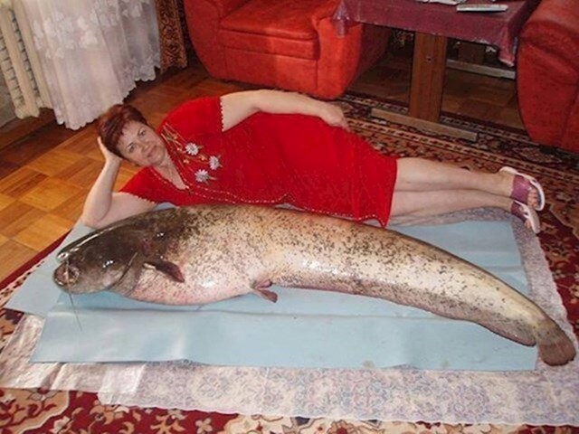 13.
