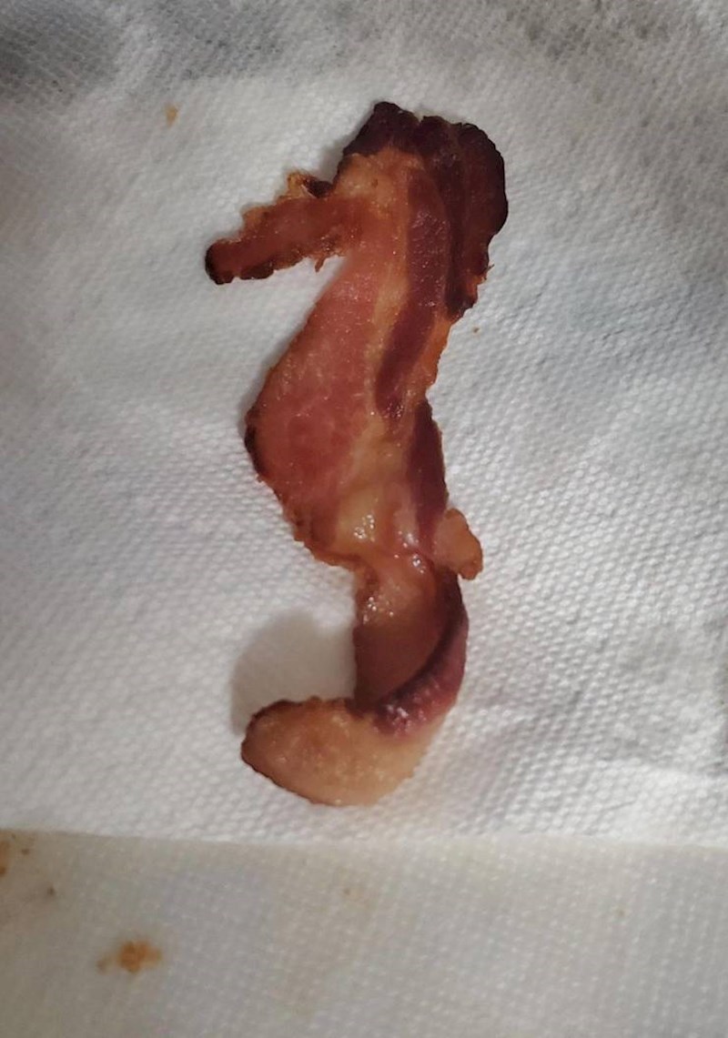 26. Komad slanine u obliku morskog konjica.