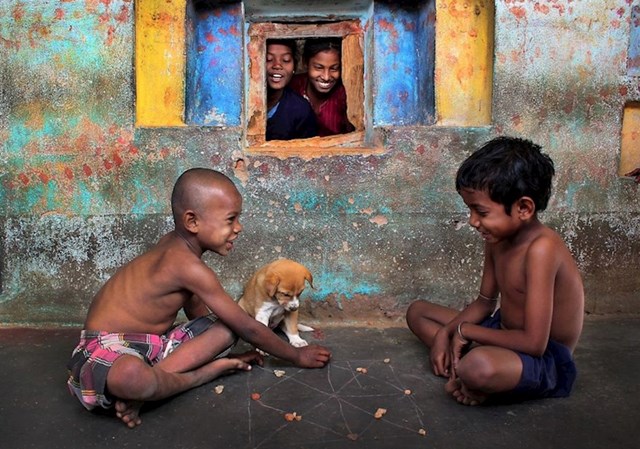 #18 "Psić, mali sudac"; Puruliya, Indija