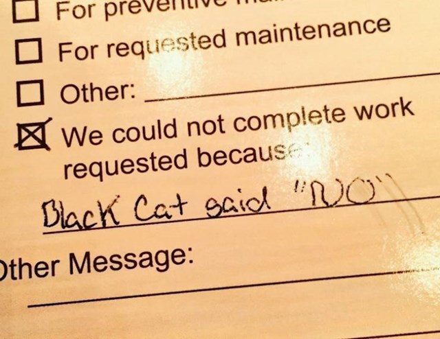 9. Majstori nisu mogli dovršiti radove jer je crna mačka rekla - ne može!