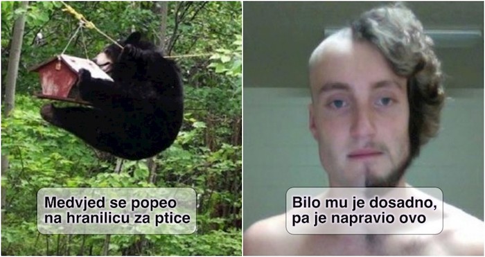 17 zanimljivih i čudnih fotki koje će vam ostaviti upitnike nad glavom