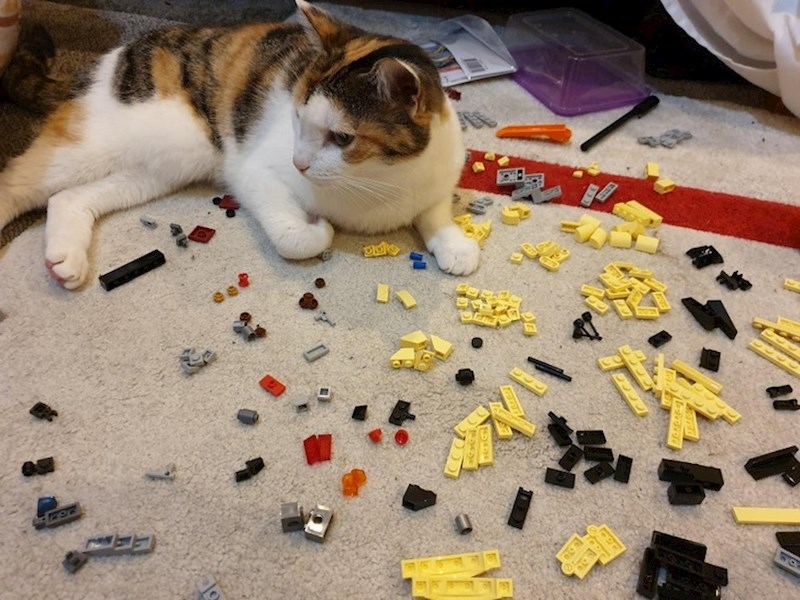 "Daj da ja to složim."