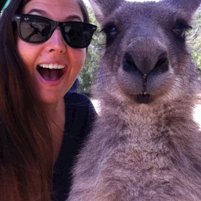 1. Nisam očekivala da ću imati ovakvu sliku s putovanja u Australiju