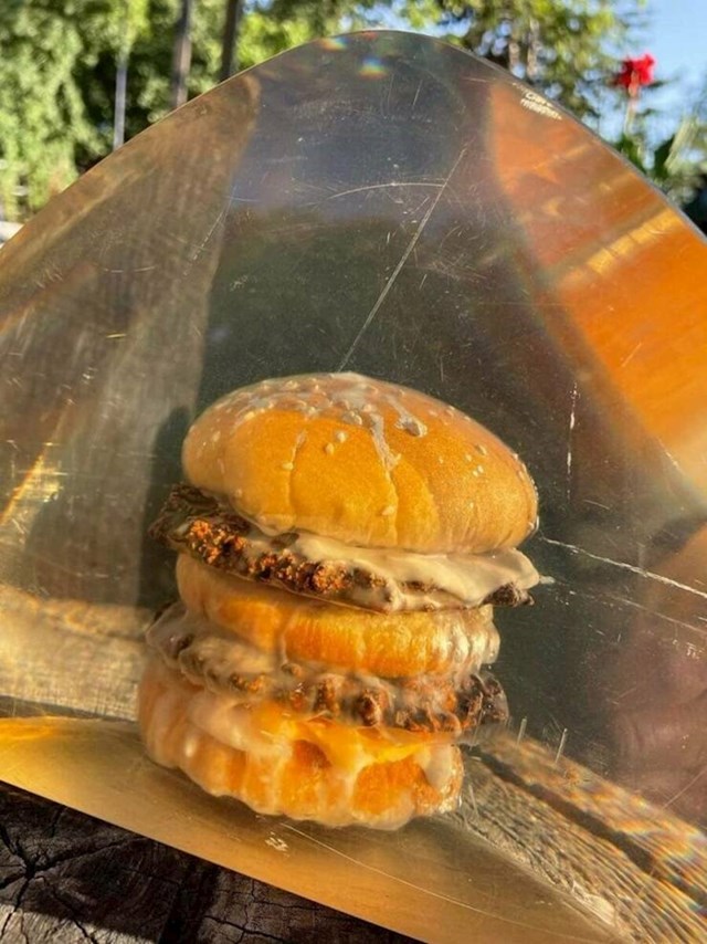 16. Ovo je McDonald'sov burger iz 1970-ih godina očuvan u smoli!