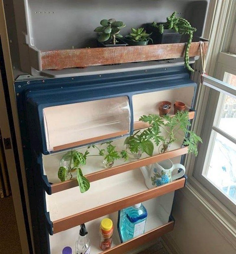 14. Stari frižider postao je novi dom ovim biljčicama🥰