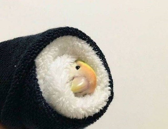 13. Sushi