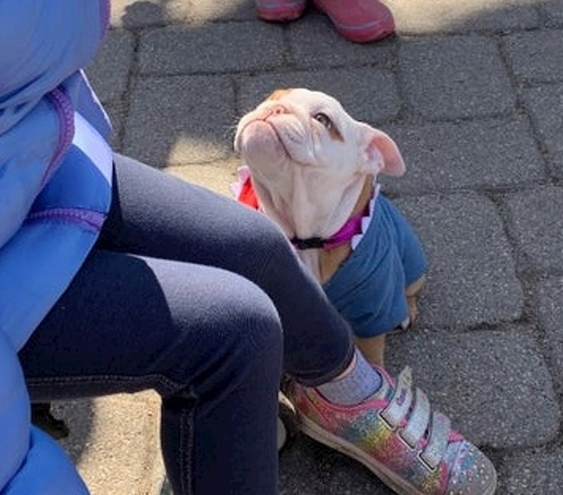 Tko bi odolio ovom osmjehu? :)