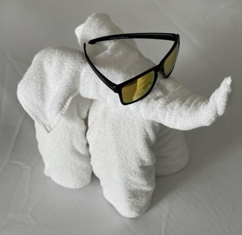 18. Sobarica u hotelu iznenadila me s ovom simpatičnom instalacijom na krevetu. Da, ovo su moje naočale koje sam ostavio nasred kreveta.