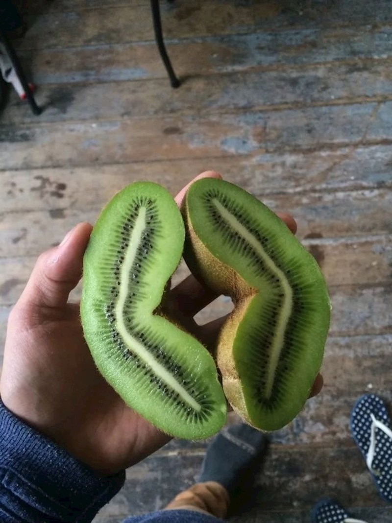 "Izrazito dugačak kivi."