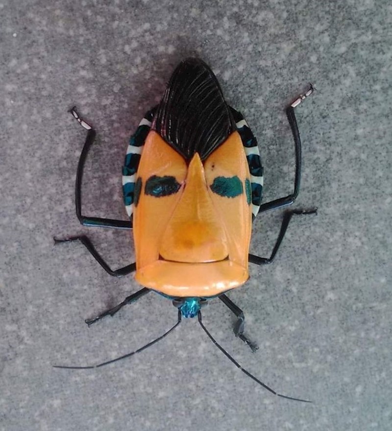 16. Kukac s nasmješenim licem.