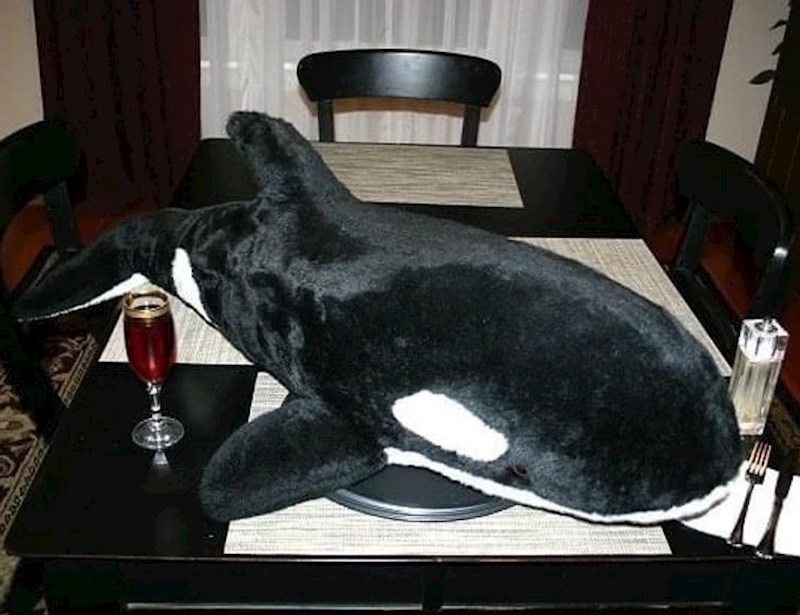 9. Svaki put kad naručim okra salatu, stigne mi ovo.