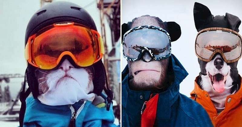 Ove realistične životinjske maske su novi hit među ljubiteljima zimskih sportova