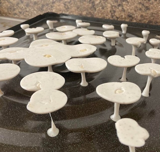 "Stavila sam plastičnu dasku za rezanje na vrući protvan i slučajno napravila ove gljive."