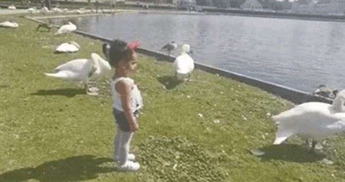 Ne možete se ne nasmijati ovoj simpatičnoj curici koja imitira labuda