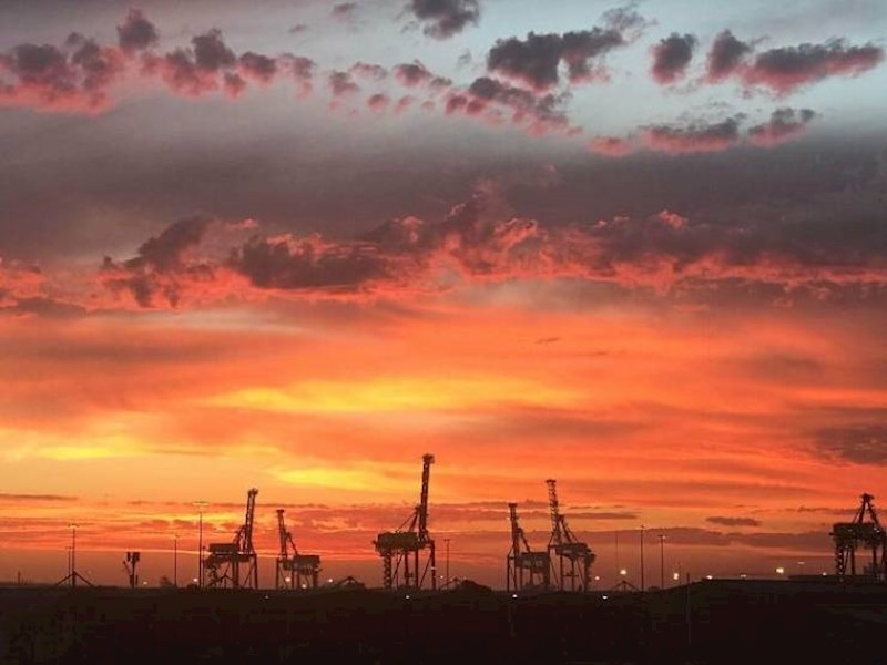 Žirafe fotkane u zalazak sunca.