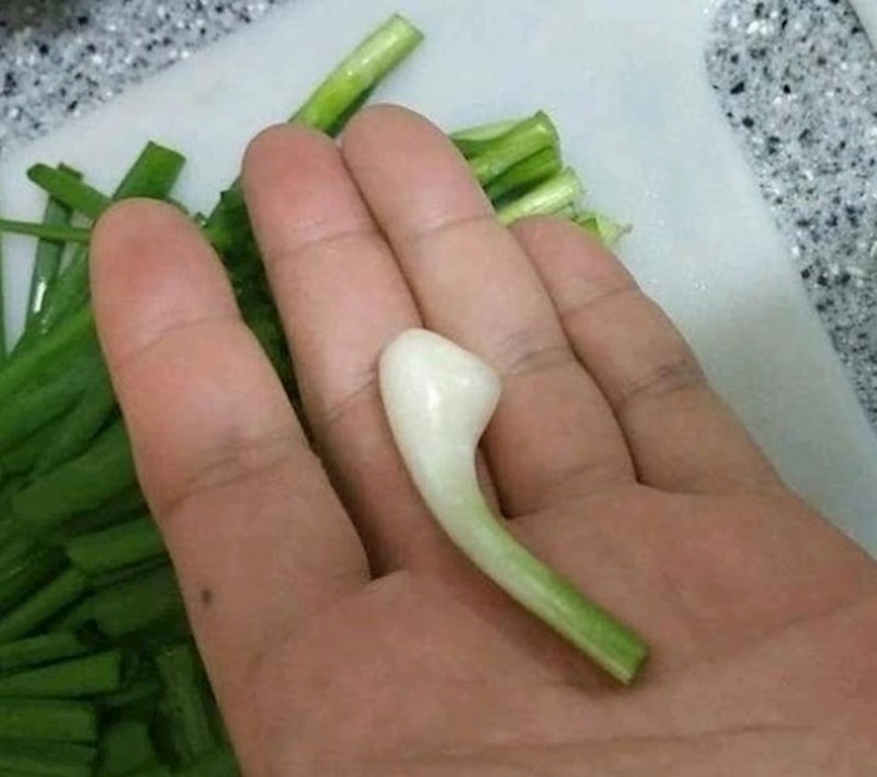 20. Slušalice ili mladi luk?