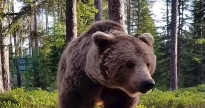VIDEO Zastrašujuće situacije koje su ljudi doživjeli tijekom izleta