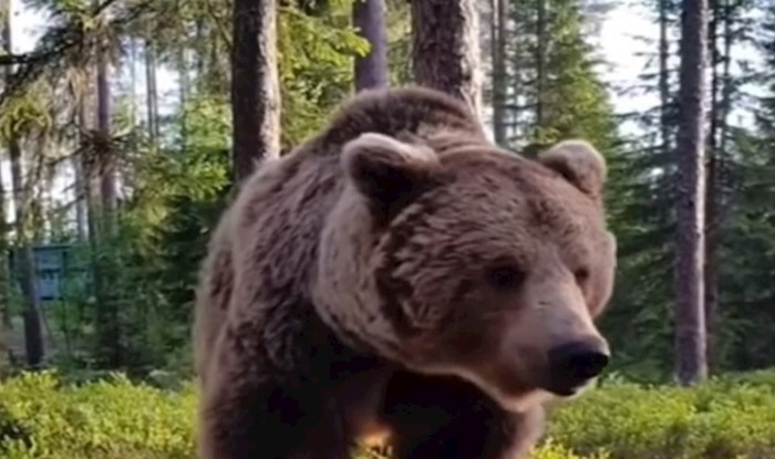 VIDEO Zastrašujuće situacije koje su ljudi doživjeli tijekom izleta