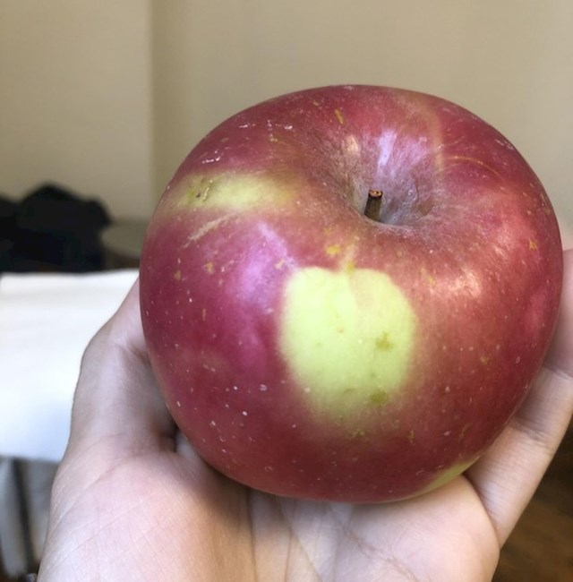 Jabuka na jabuci.