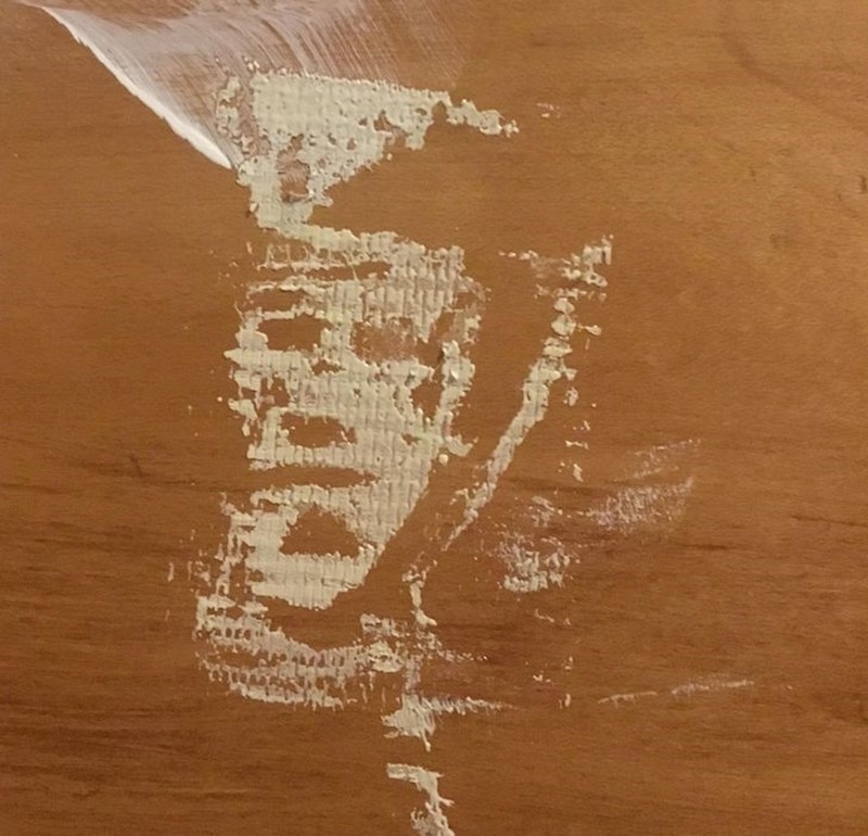 4. Nekome se ukazao Elvis