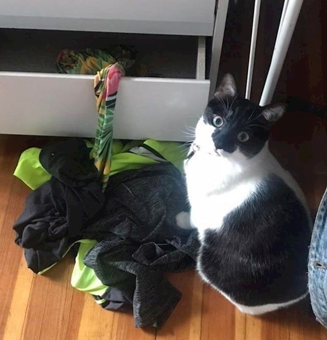 7.
