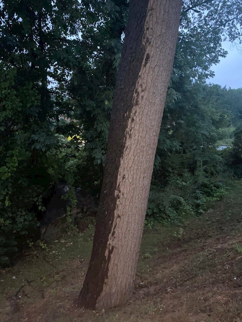 16. Jedan dio debla je mokar, drugi skroz suh