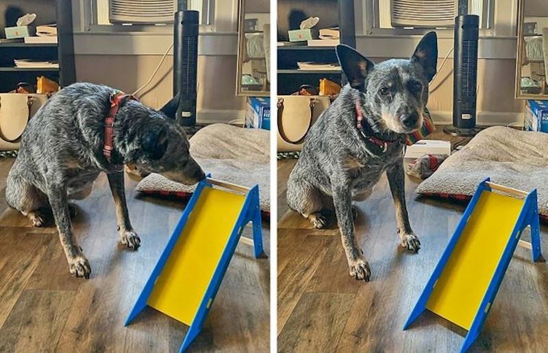 14. Nije baš zadovoljan ovime što je dobio...