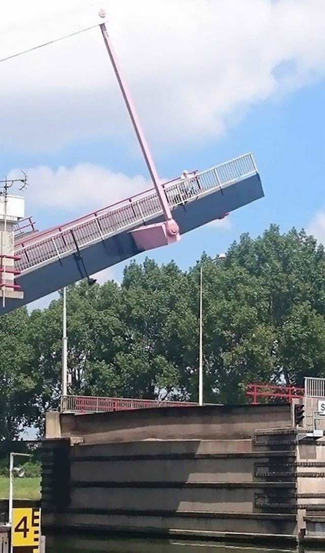 13."Baka nije uspjela na vrijeme prijeći most pa je napravila show pred svima."
