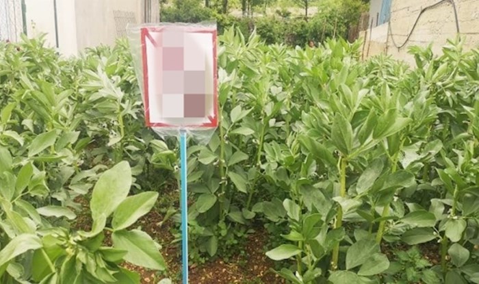 Svi se smiju apsurdnom znaku zabrane iz Dalmacije, morate vidjeti kome je zabranjeno šetati oko boba