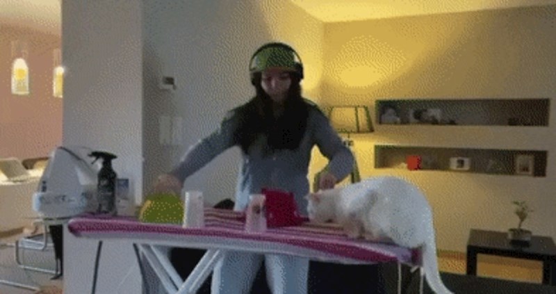 Glumila je DJ-jicu pomoću pegle, njezinoj mački se to nije svidjelo