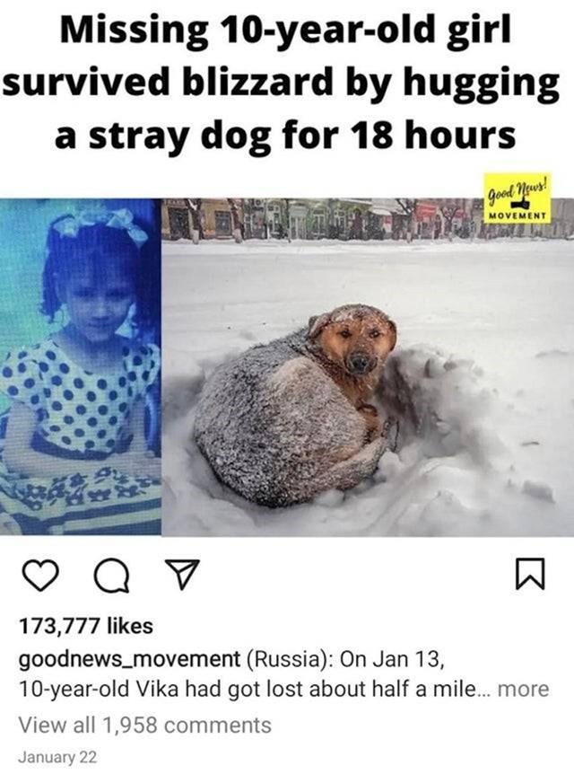 1. Djevojčica koja je nestala u Rusiji preživjela je snježnu oluju tako što je grlila psa lutalicu.