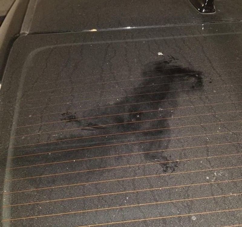 11. Vjeverica je pala na auto