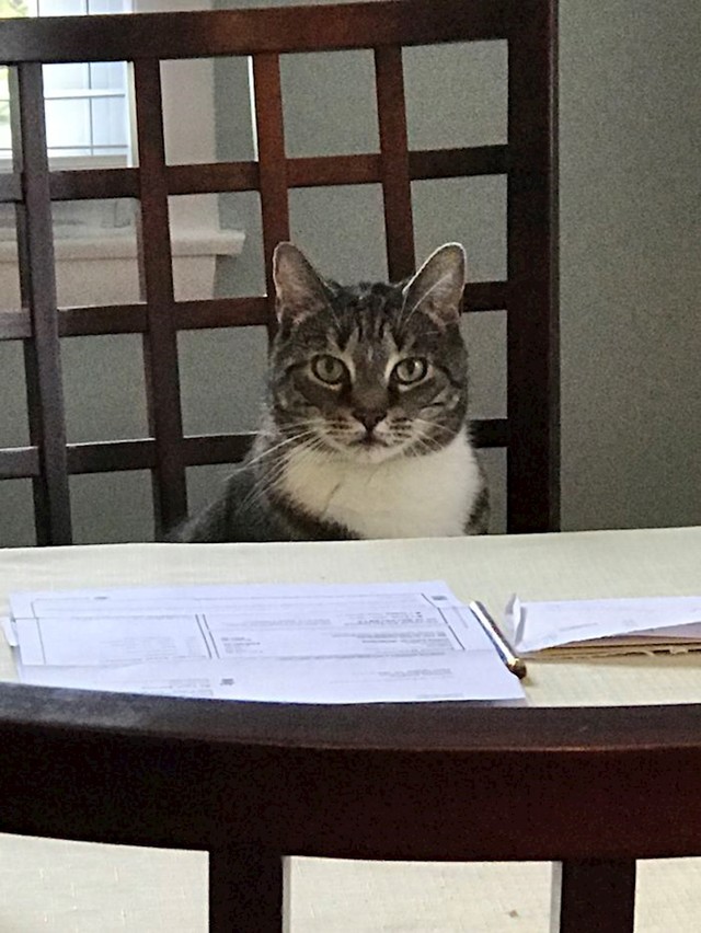 11. "A zašto želite baš ovaj posao?"