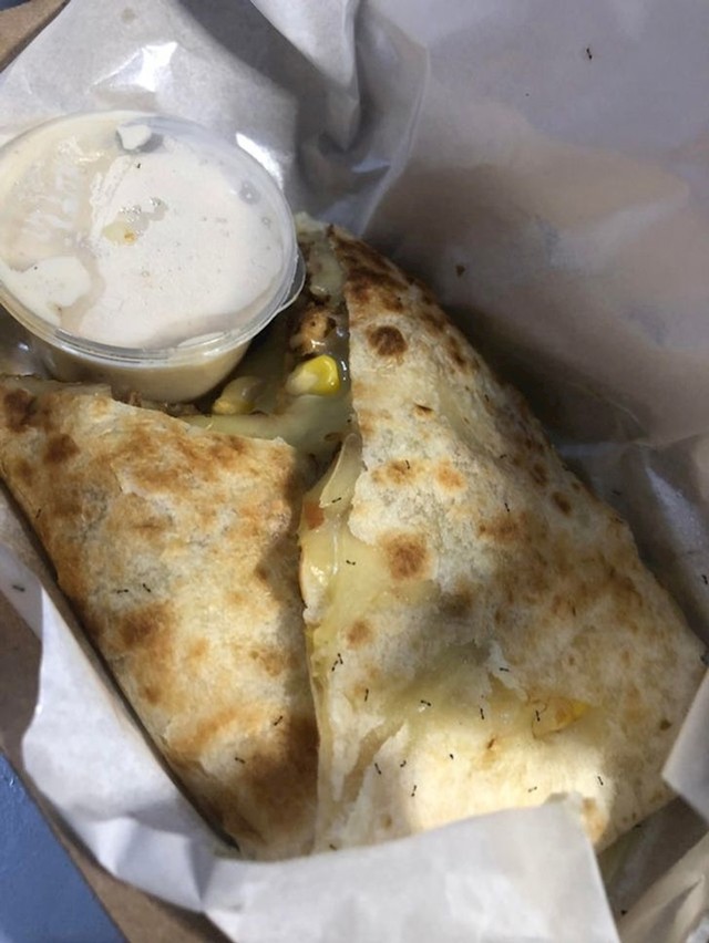 8. Mravi u quesadilli😟🤮