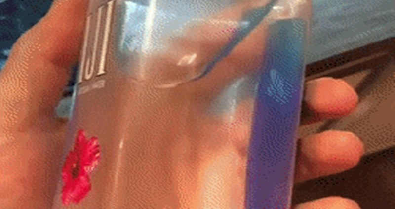 Ostat ćete bez teksta kad vidite što se događa s ovom bocom vode