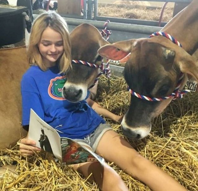 10. Djevojčica čita strip kravama na farmi