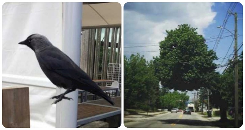 15 fotografija zbog kojih ćete posumnjati u zakone fizike